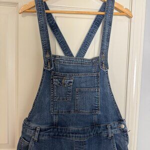Free People Denim Jeans Overalls Size 30